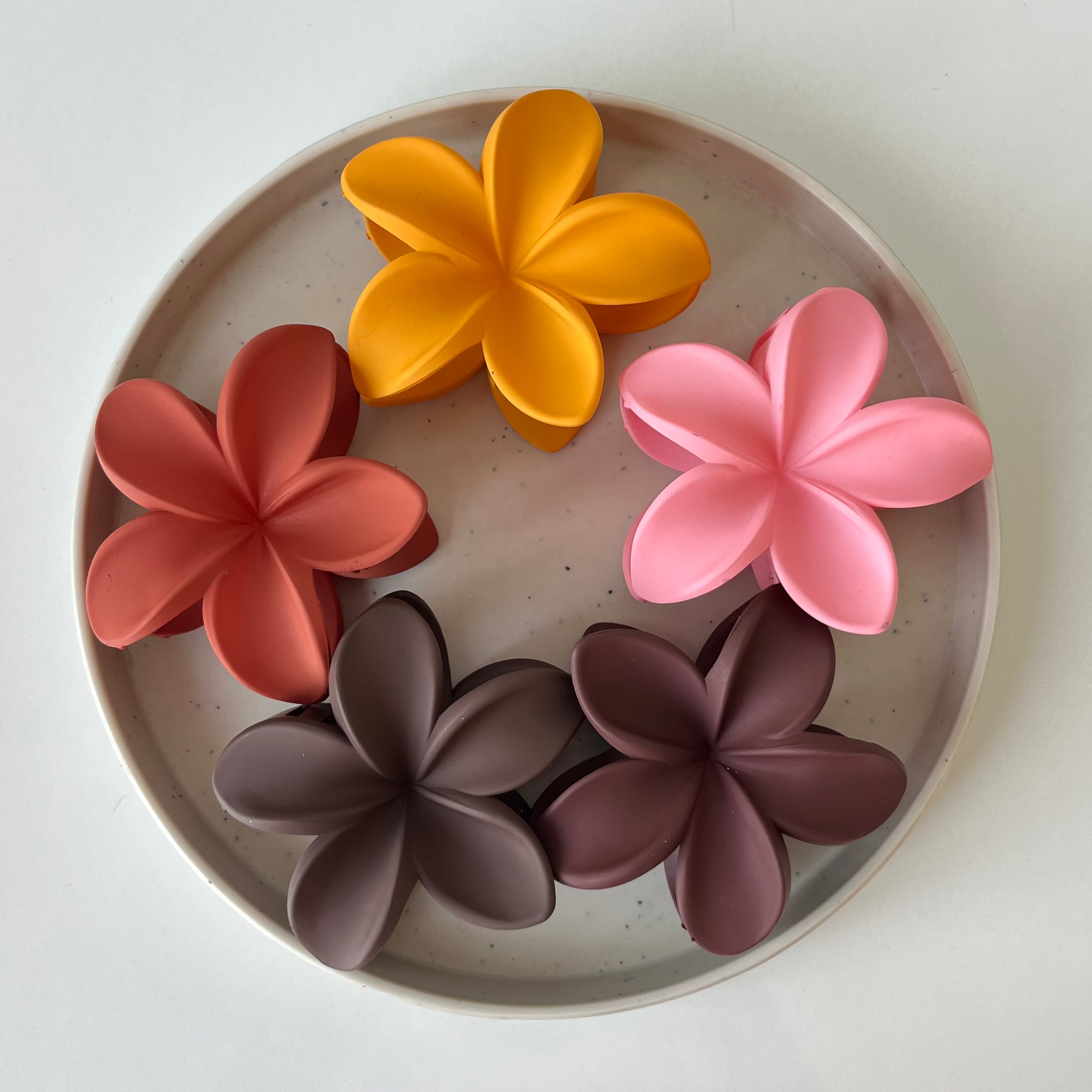 Maranta Claw Clip – Large (Vault Set of 10)